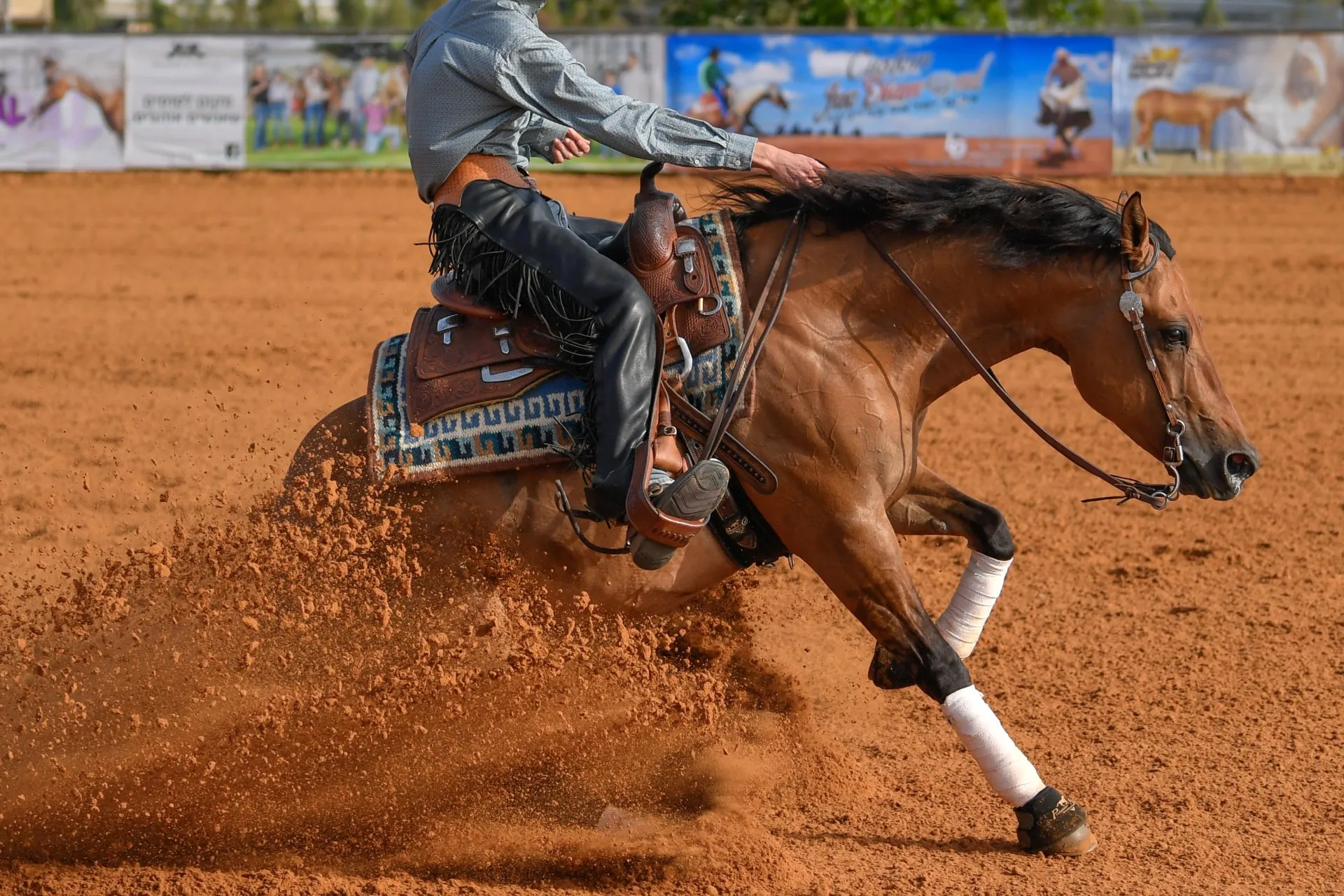 Served in an Equine Lawsuit? Here’s How to Prepare the Right Way