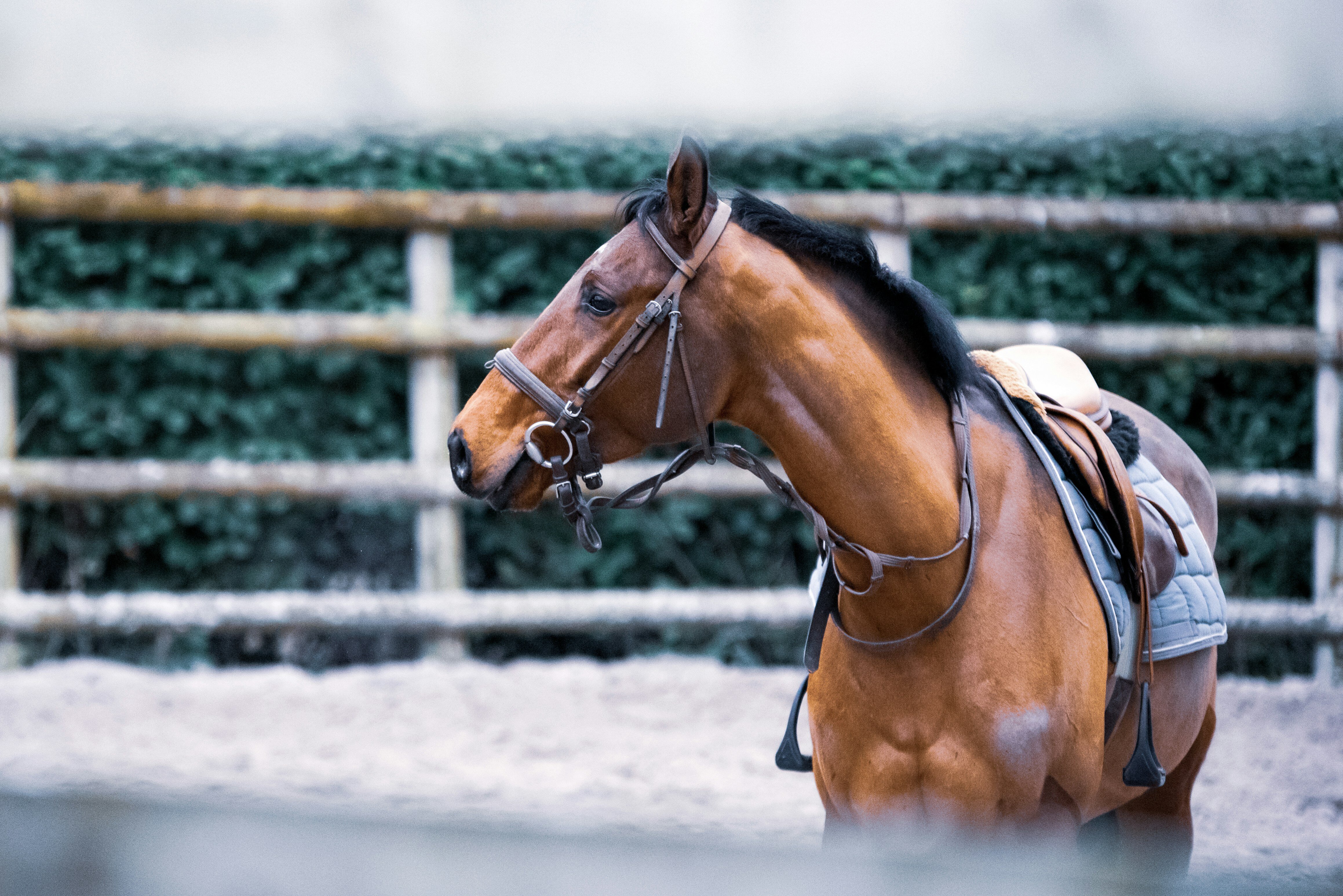 guillaume-de-germain-5nP-3kMjqJo-unsplash